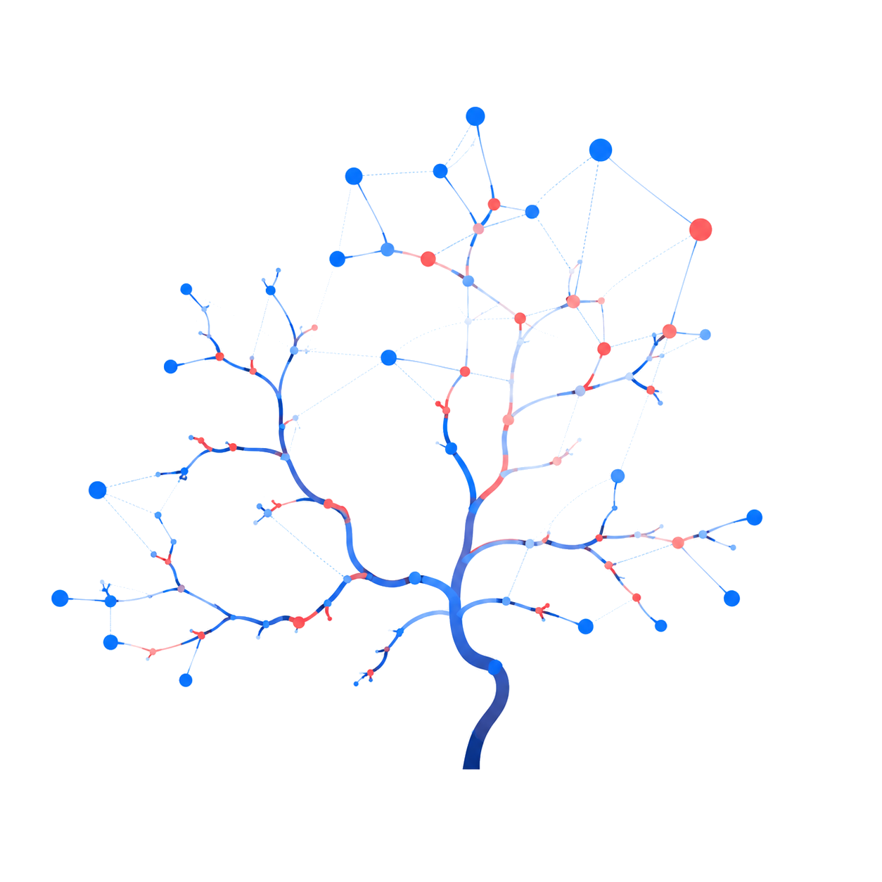 Segmentation & Modeling